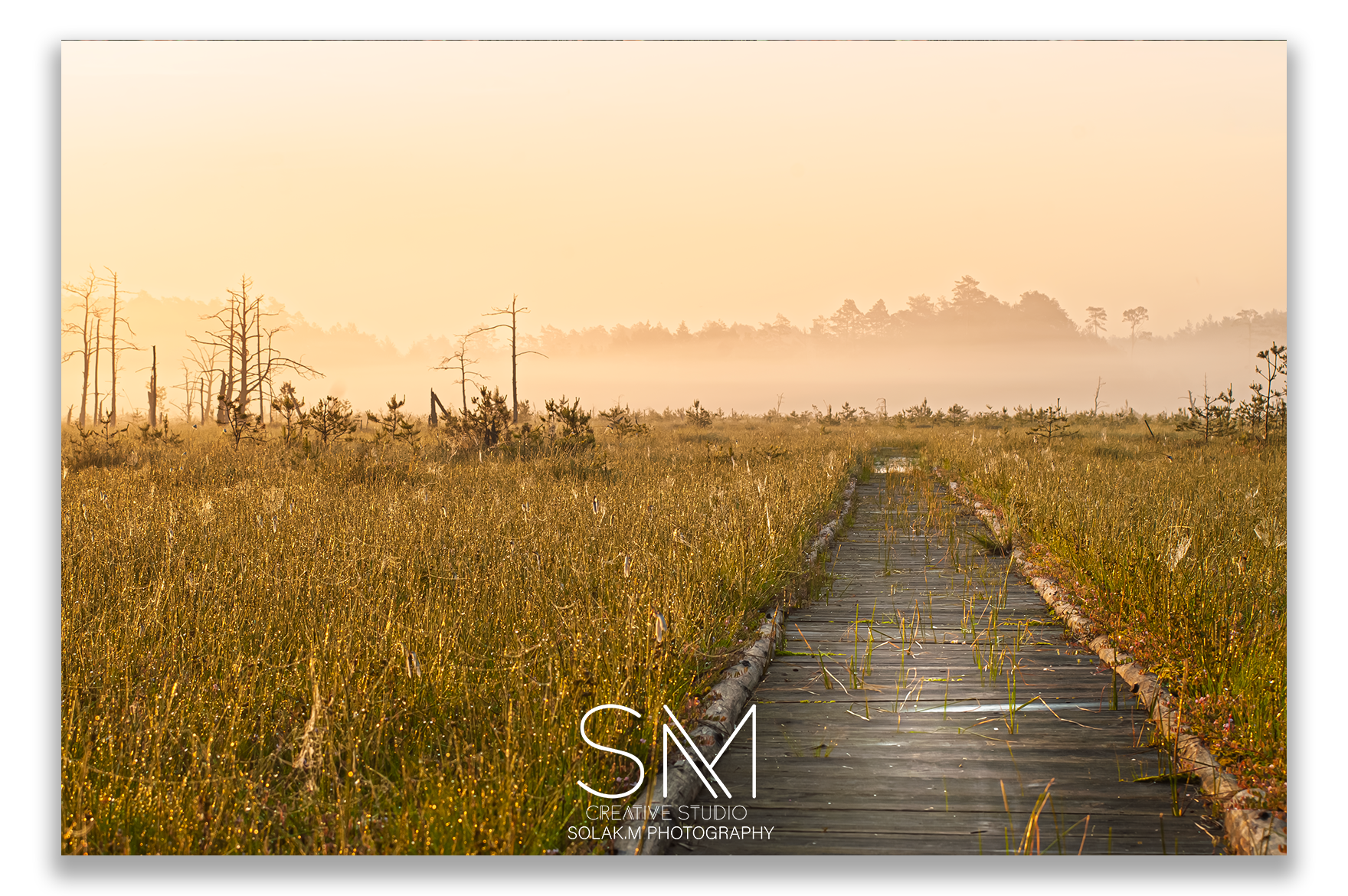 Rezerwat Obary woj.Lubelskie. powiat Biłgorajski